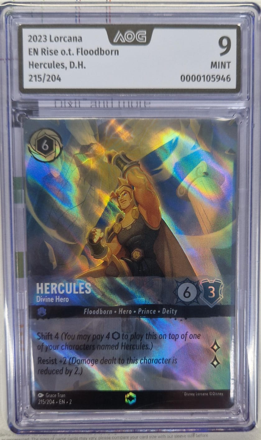 Hercules 215/204 - 9 AOG